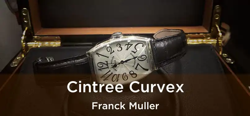  Cintree Curvex Franck Muller