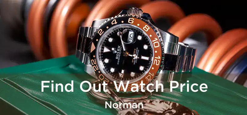  Find Out Watch Price Norman