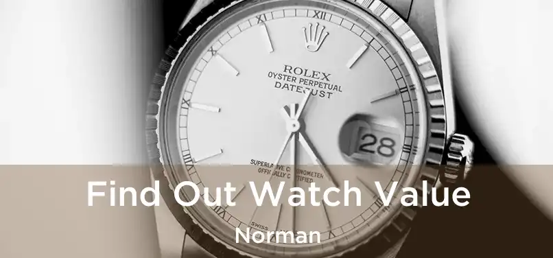  Find Out Watch Value Norman