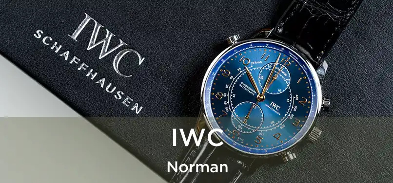  IWC Norman