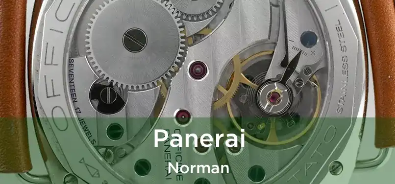  Panerai Norman