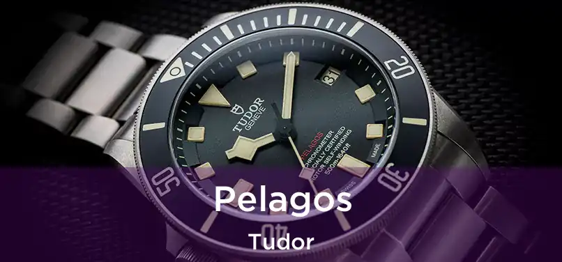 Pelagos Tudor