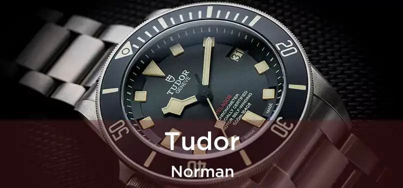  Tudor Norman