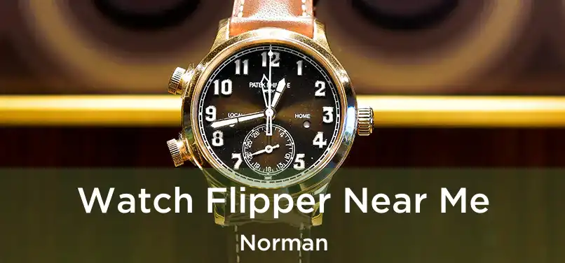  Watch Flipper Near Me Norman